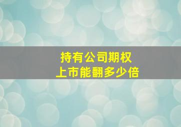 持有公司期权 上市能翻多少倍